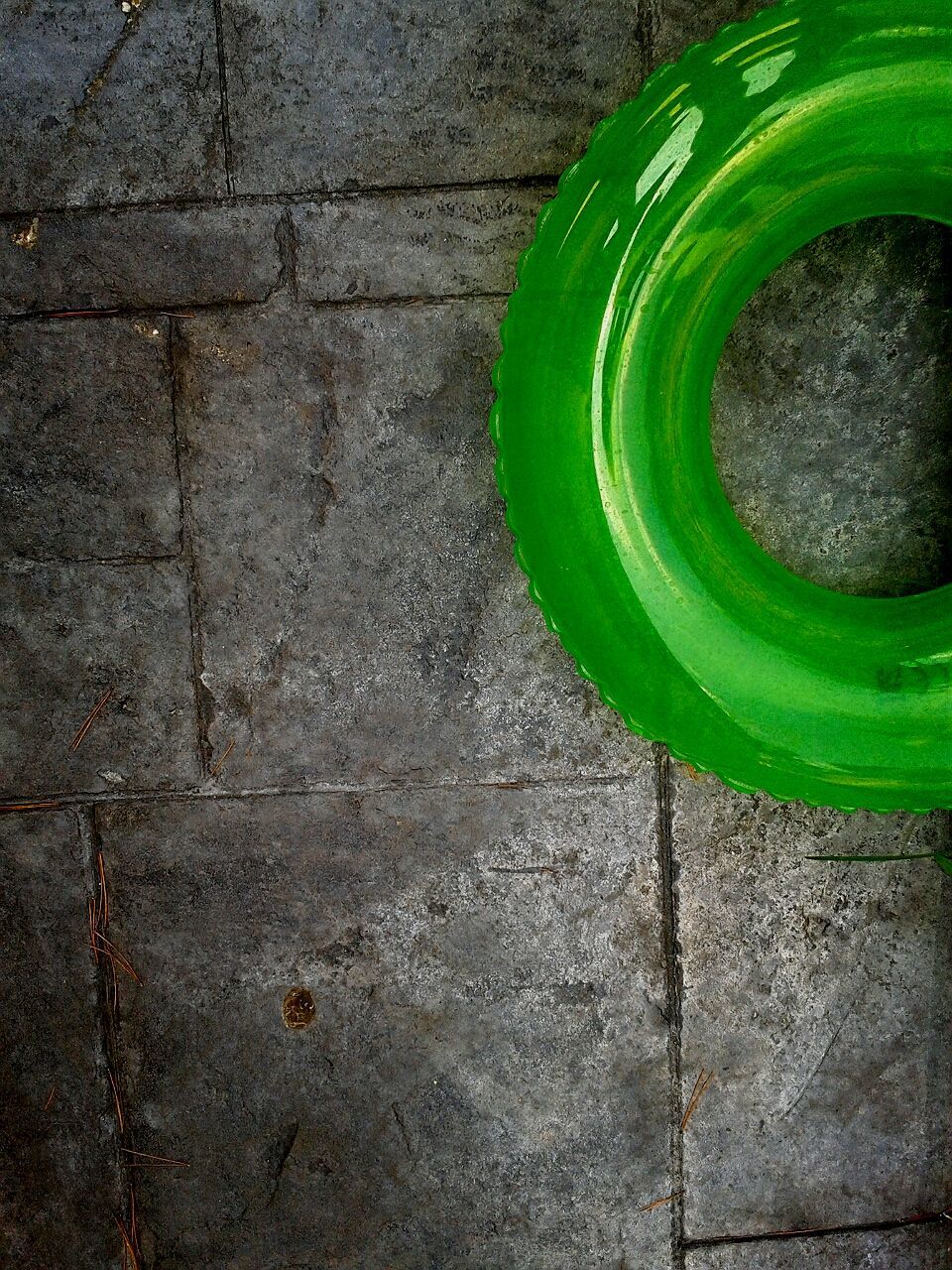 green color, high angle view, leaf, close-up, directly above, plant, circle, no people, green, outdoors, day, textured, growth, pattern, grass, geometric shape, footpath, cobblestone, wall - building feature, paving stone