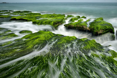 High angle view of rocks in sea