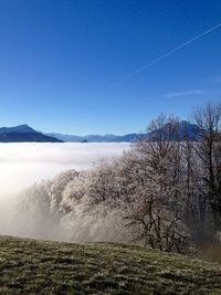 Scenic view of landscape against clear sky