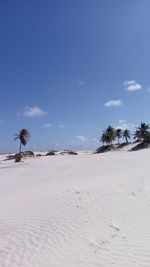 Scenic view of beach against blue sky
