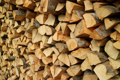 Full frame shot of logs in forest