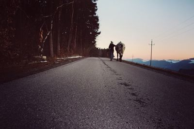 Rear view of woman with horse walking on road against clear sky