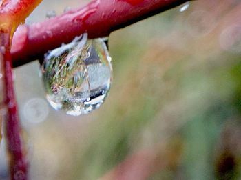 Close-up of water drops on ice crystals