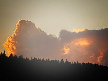 Silhouette trees against sky during sunset