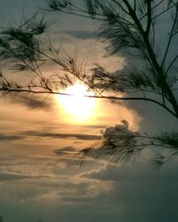 Silhouette trees against sky during sunset