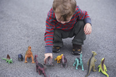 High angle view of boy playing with dinosaur figurines while crouching on road