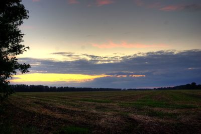 Scenic view of field against sky during sunset