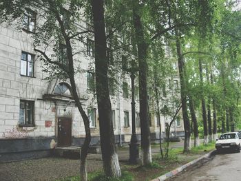 Building with trees in background