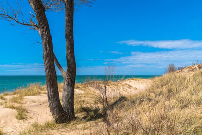 Scenic view of sea against blue sky