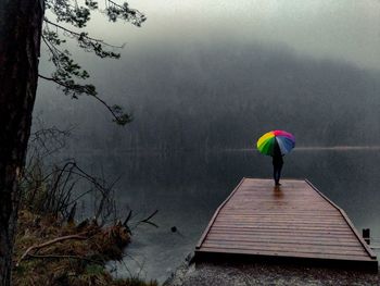 Rear view of person by lake during rainy season