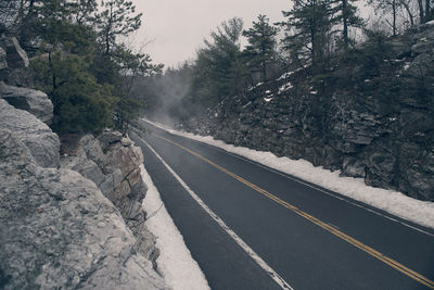 Empty road amidst trees