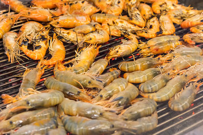 Close-up of crab for sale at market