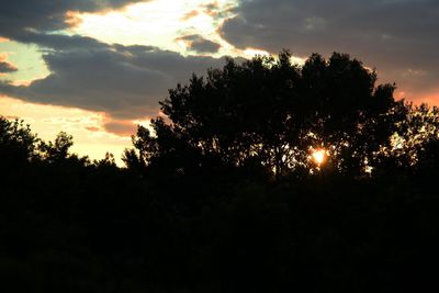 Low angle view of silhouette trees against sky during sunset