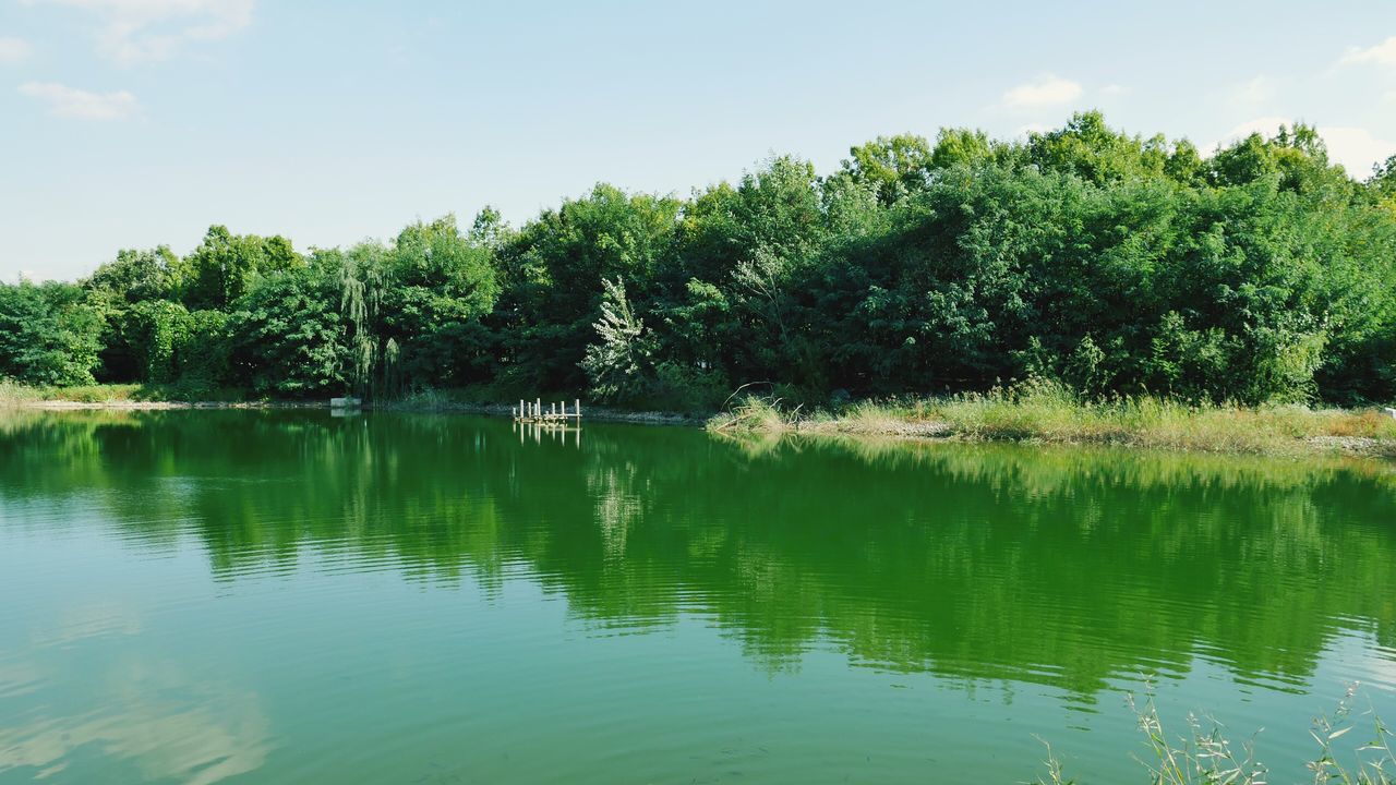 water, tree, tranquil scene, reflection, scenics, tranquility, waterfront, growth, beauty in nature, sky, lake, nature, calm, green color, non-urban scene, day, green, blue, no people, outdoors, cloud - sky, majestic, remote, lush foliage