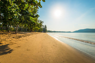 Scenic view of beach against clear sky