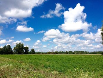 Trees on field against cloudy sky