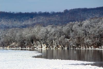 Scenic view of snow covered landscape