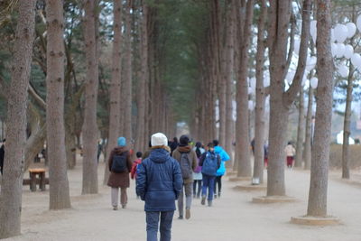 Rear view of people walking on field amidst trees