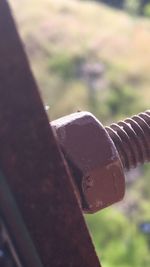 Close-up of metal fence