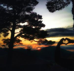 Silhouette trees on landscape against sky at sunset