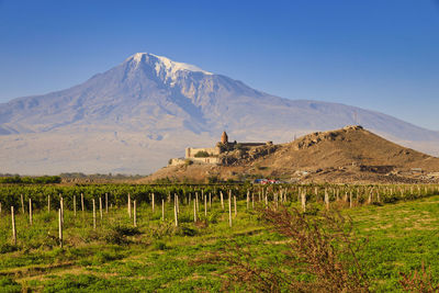 Scenic view of field and mountains against clear sky