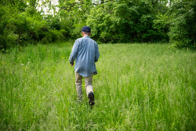 Solitary senior man in hiking boots walks though tall grass to green woodland background. copy space