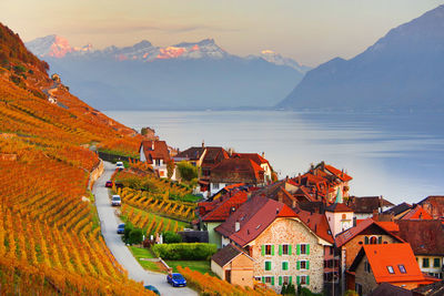 Residential buildings by vineyard against sky