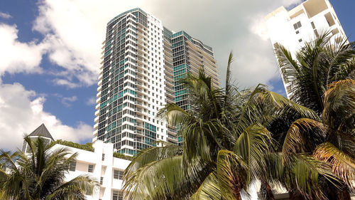 Low angle view of palm tree against modern buildings