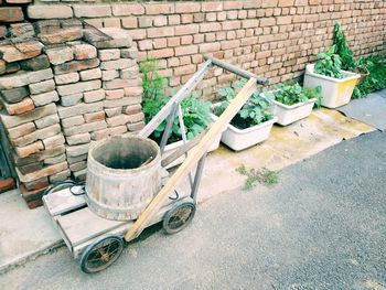 High angle view of potted plants by brick wall