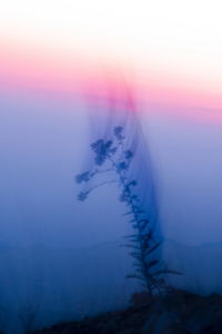 Scenic view of sea against sky during winter