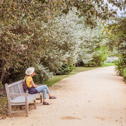 Side view of woman sitting on bench against trees in park