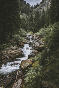 Stream flowing through rocks in forest