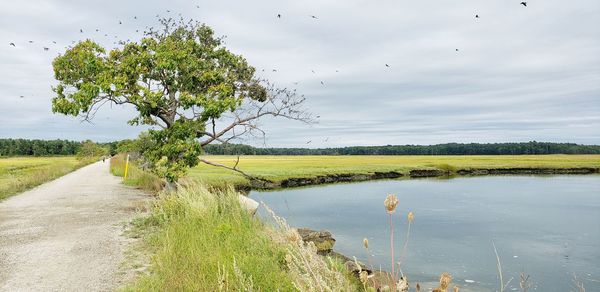 Scenic view of lake against sky