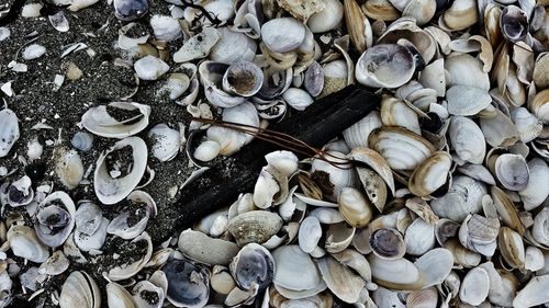 Stack of stones