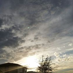 Low angle view of tree against sky at sunset