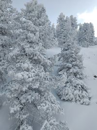 Full frame shot of snow