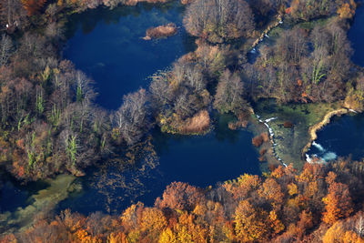 High angle view of plants by lake against sky