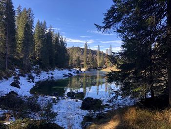 Scenic view of lake in forest against sky - carezza lake, dolomites