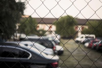 Close-up of chainlink fence