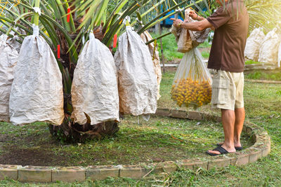 Rear view of woman standing in greenhouse