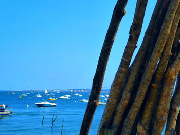 Sailboats on sea against clear blue sky