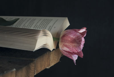 Close-up of pink flower and book on table against black background
