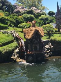 Plants growing on rocks by lake against building