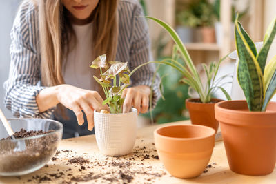 Woman gardeners taking care and transplanting plant a into a new white pot on the wooden table.