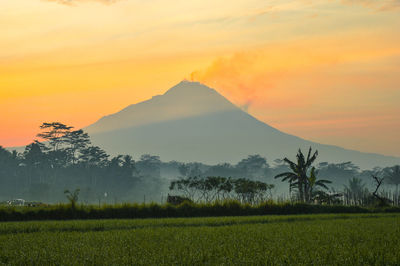 Scenic view of field against sky during sunset