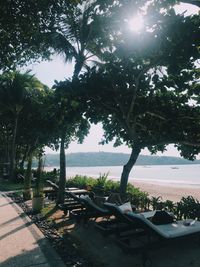 Palm trees by swimming pool against sky