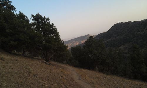 Road amidst trees and mountains against sky