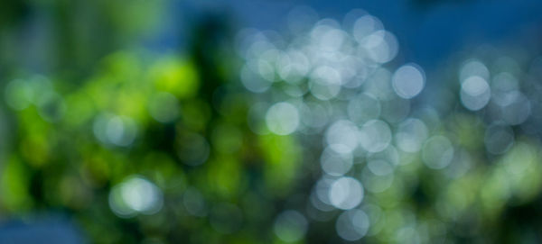 Defocused image of blurred background