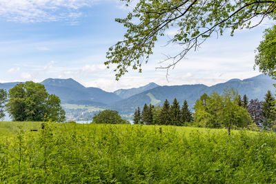 Scenic view of landscape and mountains against sky