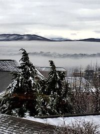 Scenic view of snow covered landscape